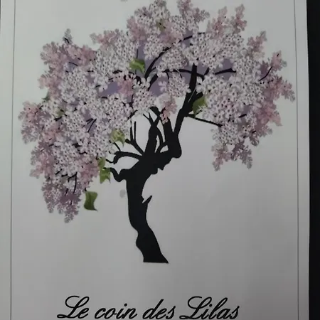 Au Coin Des Lilas - 1 Casa vacanze